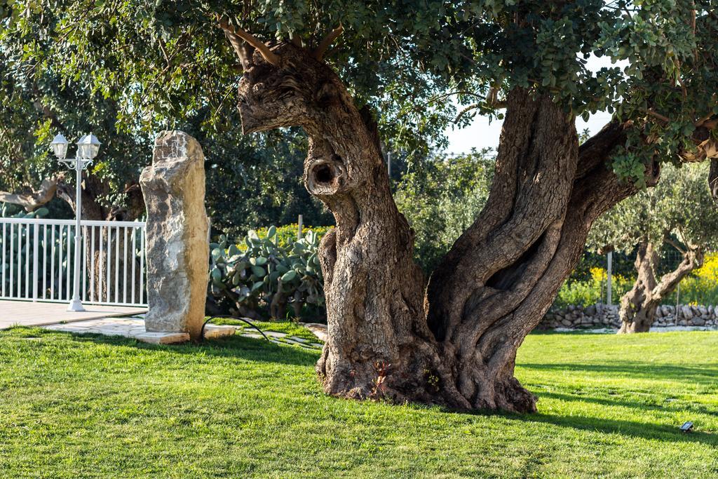 Il Giardino Dei Frangipani Daire Santa Croce Camerina Dış mekan fotoğraf